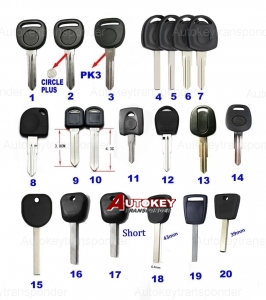 For CHEVROLET bucik gmc pantic transponder key