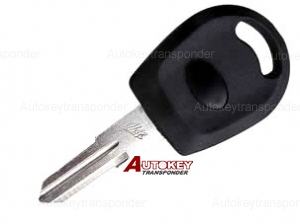 Chery 44 Transponder Key