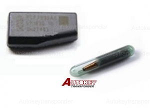 Cloneable Transponder Chip